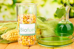 Chynoweth biofuel availability