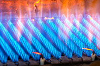 Chynoweth gas fired boilers